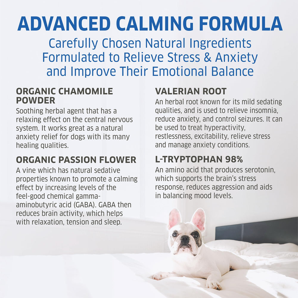 Fur Belly Hemp Calming Chews dog resting after a calming moment