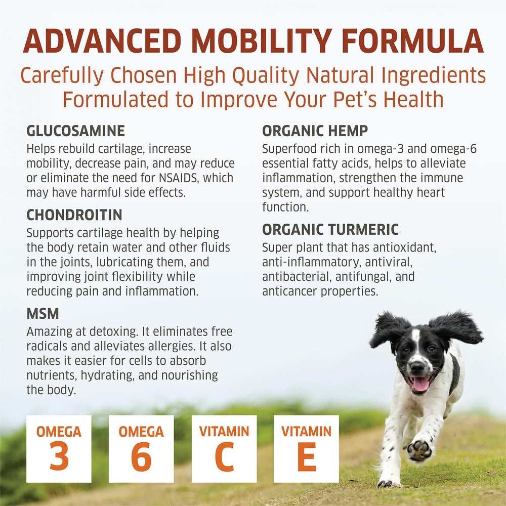 Fur Belly joint-support chews beside paw on floor show real-life use