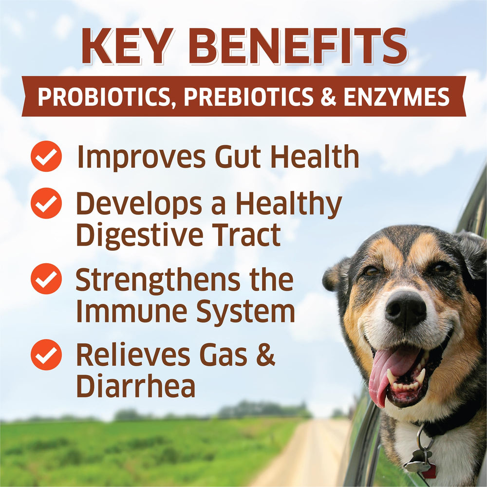 Fur-Belly Probiotics for Dogs chews close-up showing texture and support for digestion.