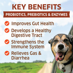 Fur-Belly Probiotics for Dogs chews close-up showing texture and support for digestion.
