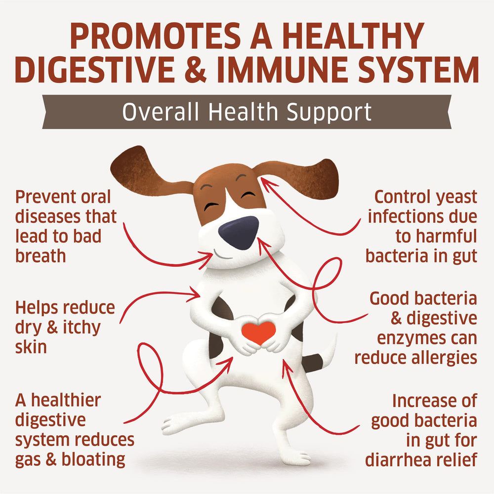 Fur-Belly Probiotics for Dogs digestive enzymes illustration highlighting gut balance.