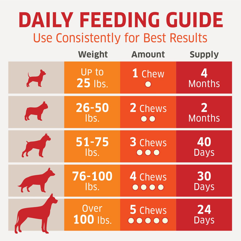 Fur-Belly Probiotics for Dogs made in USA label conveying quality.