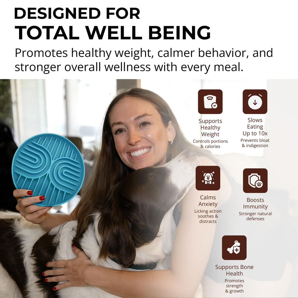 Fur-Brained slow feeder dish in blue color for stylish meals