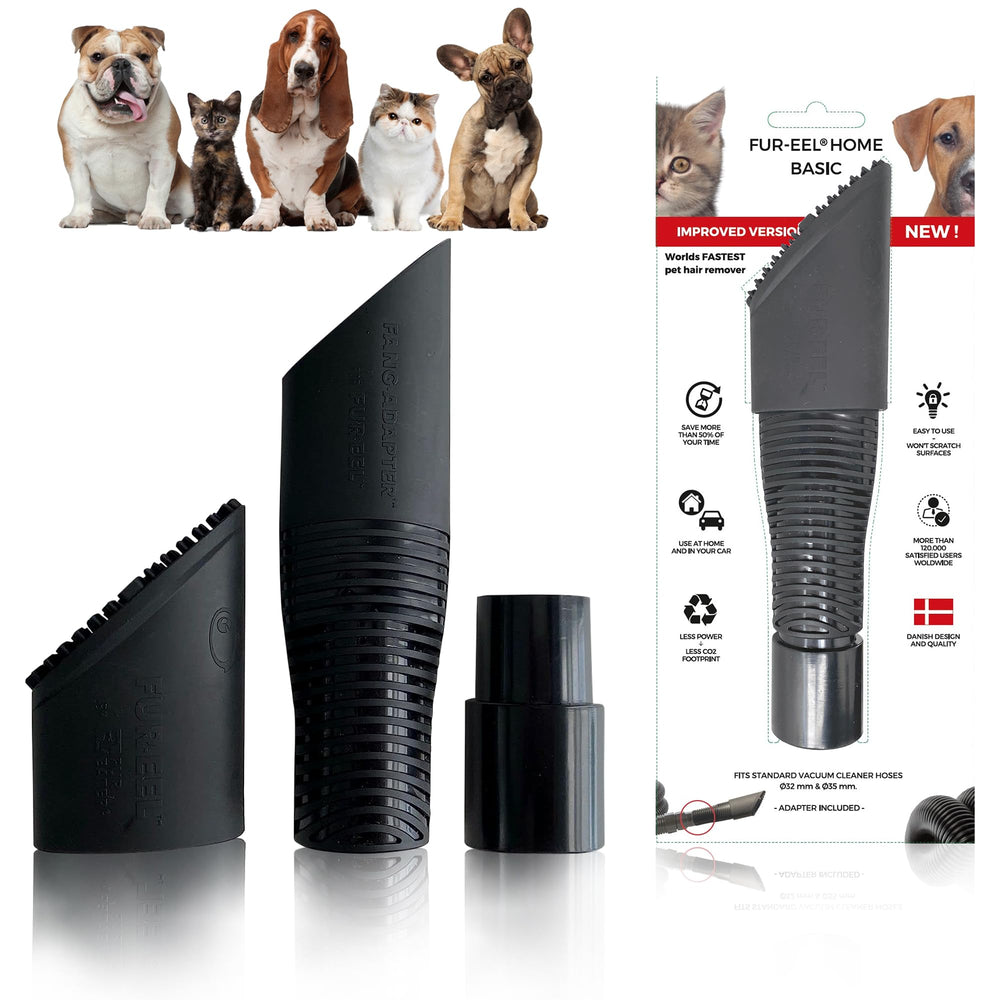 Fur-EEL replaceable bristle piece highlights easy maintenance for ongoing use.
