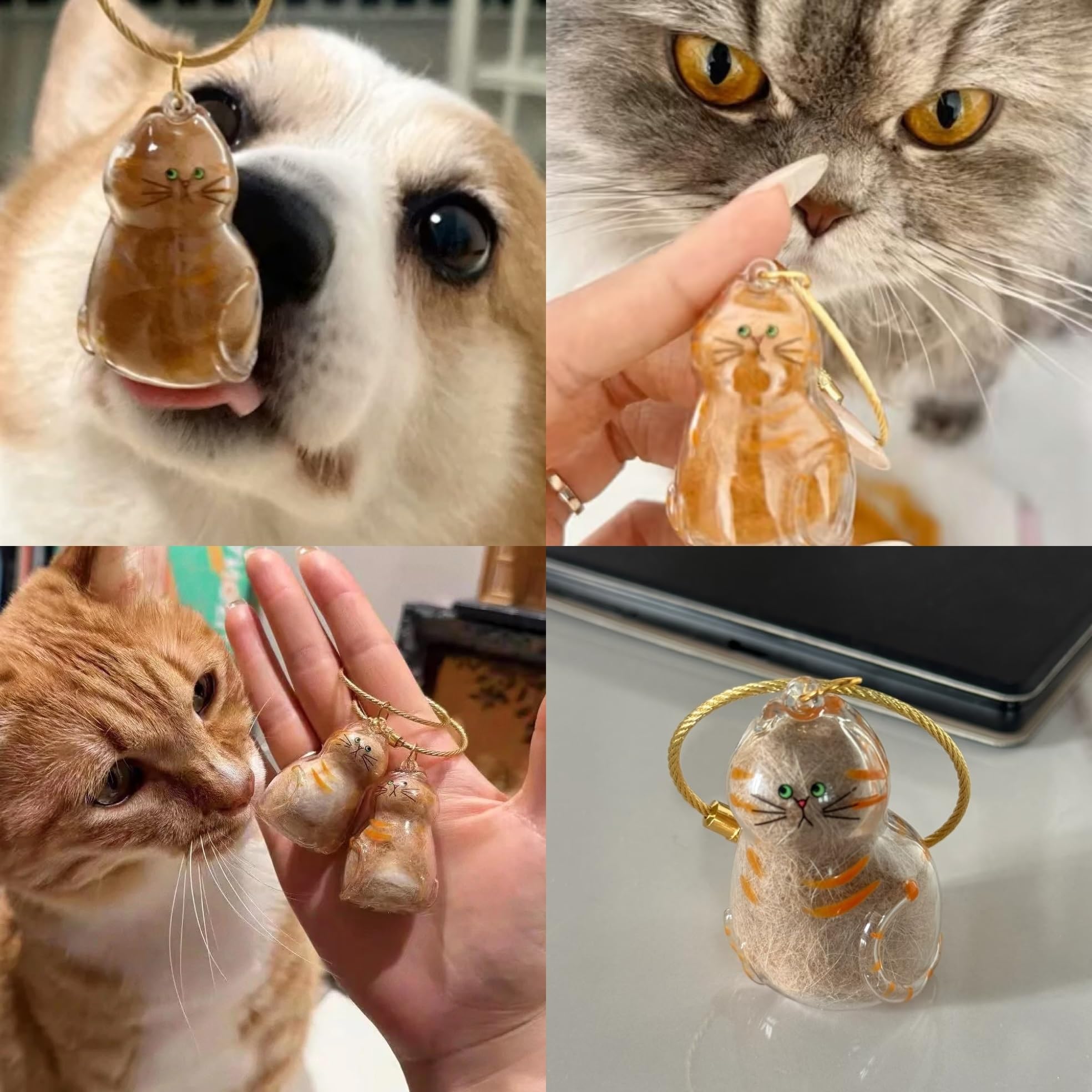 Fur-Ever Loved memorial memento captures cherished memories