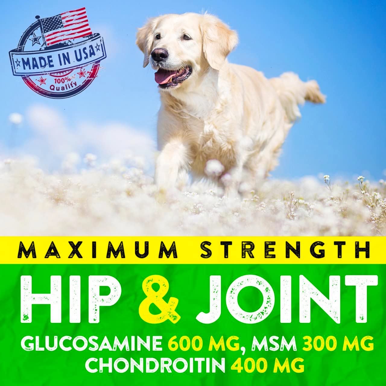 FURALAND dog hip joint walking scene highlights boosted mobility for everyday activities.