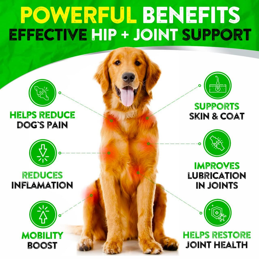 FURALAND dog hip joint soft chews bacon flavor shown as tasty bites for active dogs.