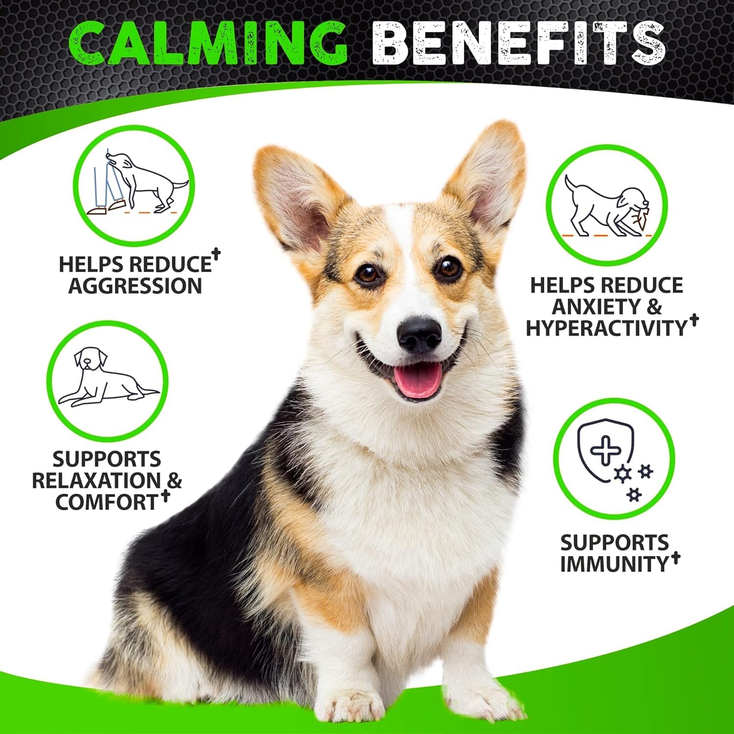 FURALAND calming chews close-up – bite-sized treats dogs enjoy during stressful moments.
