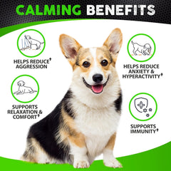 FURALAND calming chews close-up – bite-sized treats dogs enjoy during stressful moments.