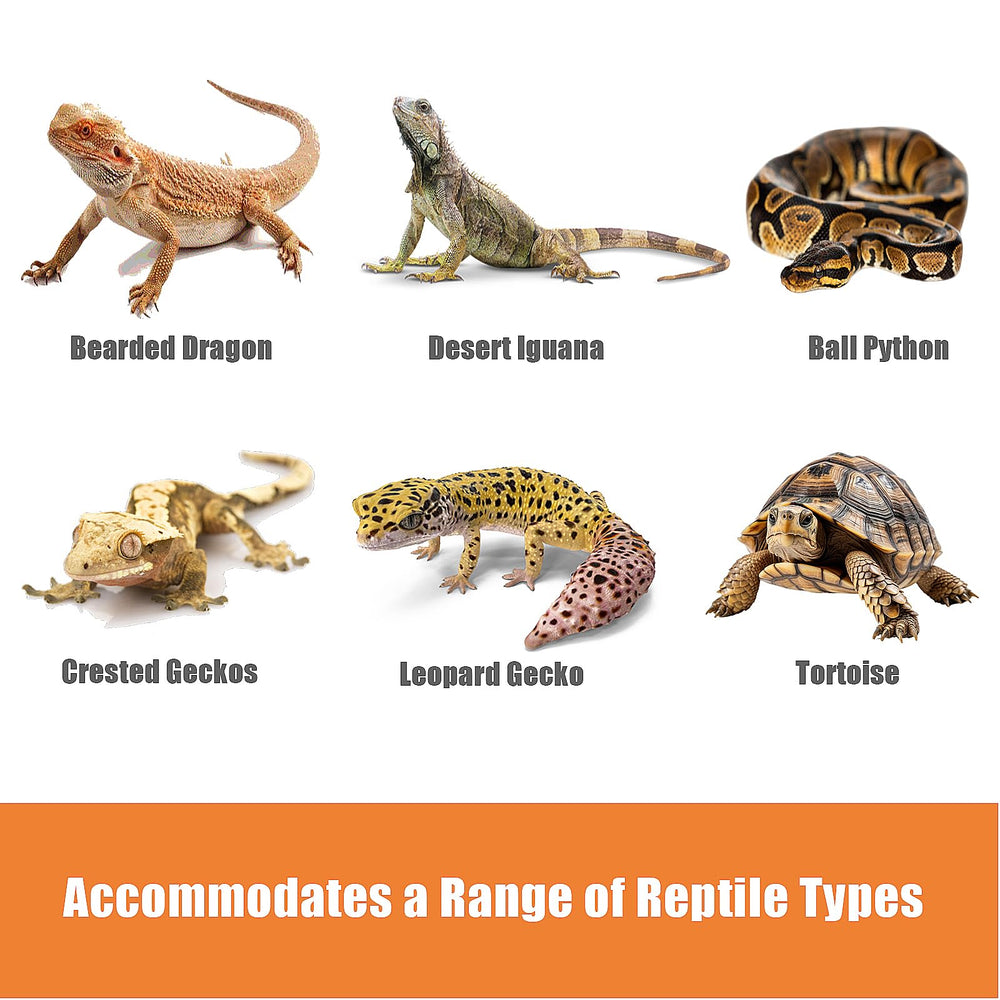 Furatune bearded dragon multi-species liner suits bearded dragons, geckos, and other reptiles.