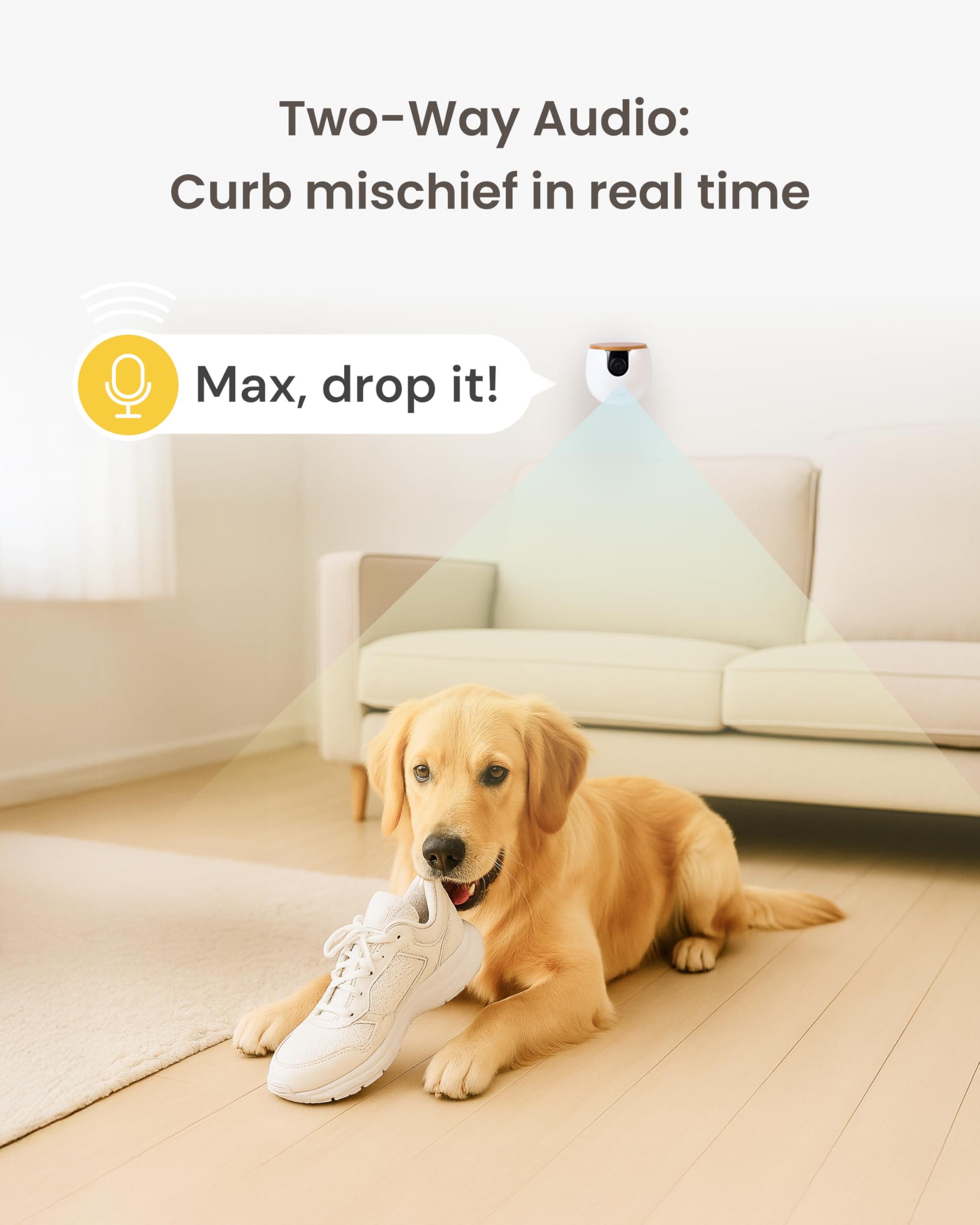 Furbo Mini adhesive pad enables renter-friendly placement anywhere
