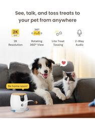 Furbo Mini360 night vision color captures pets clearly in low light.