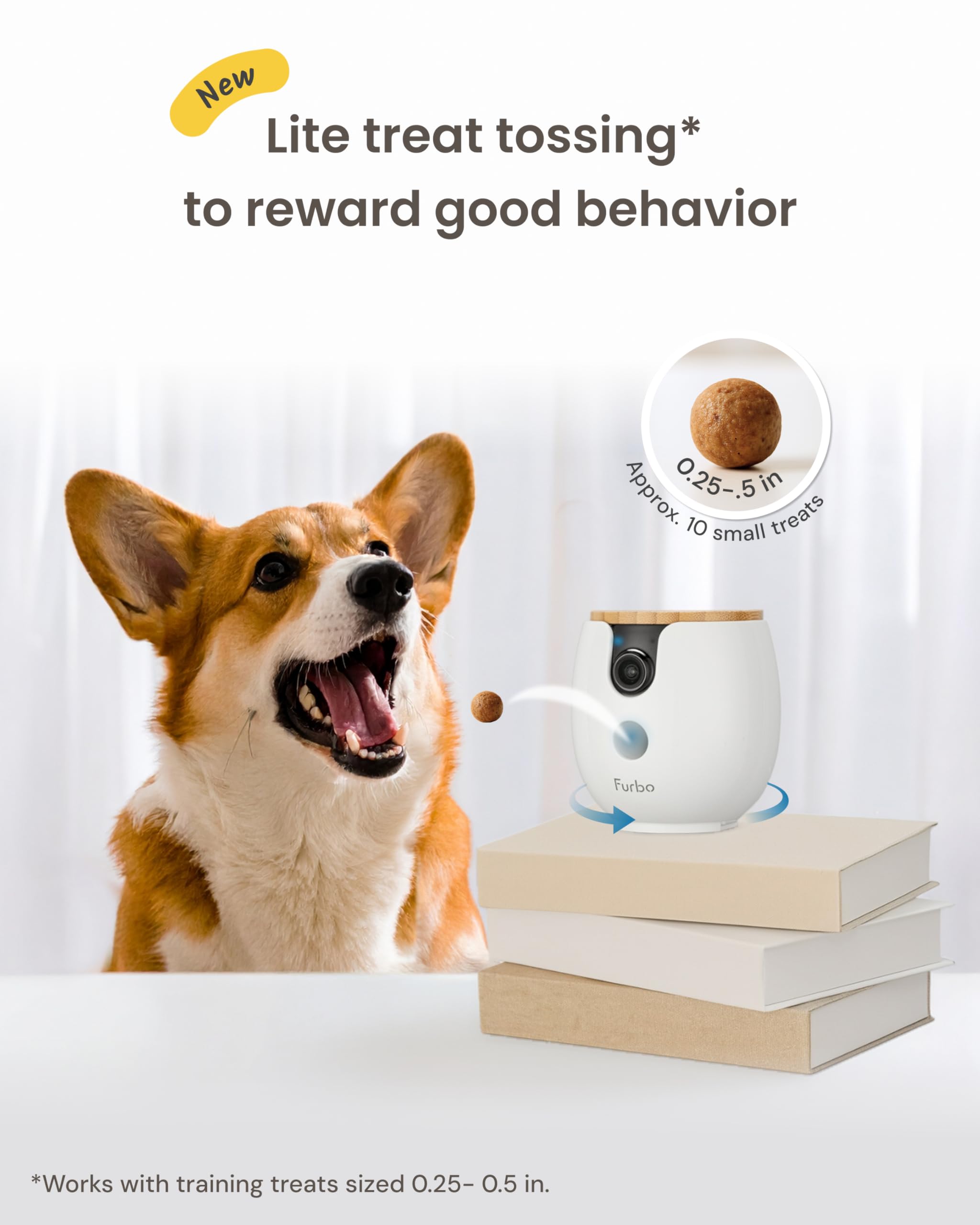 Furbo Mini360 wifi setup streamlines quick secure camera connection.