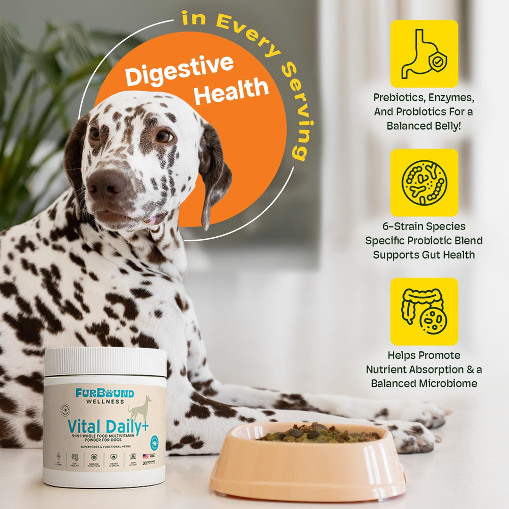 FurBound cheesy beef flavor appeals to picky eaters