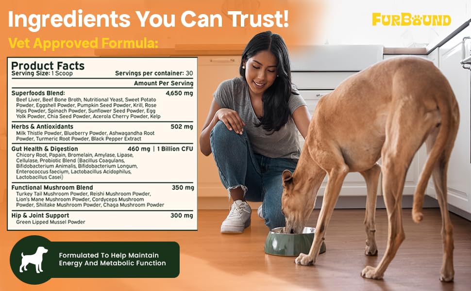 FurBound digestive health panel with enzymes and probiotics
