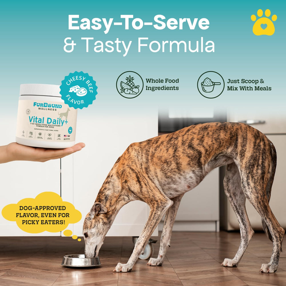 FurBound serving with dog bowl demonstrates easy meal mix