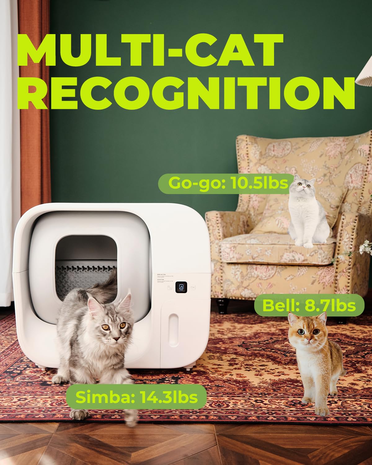 Furbulous app monitor and remote control on mobile screen