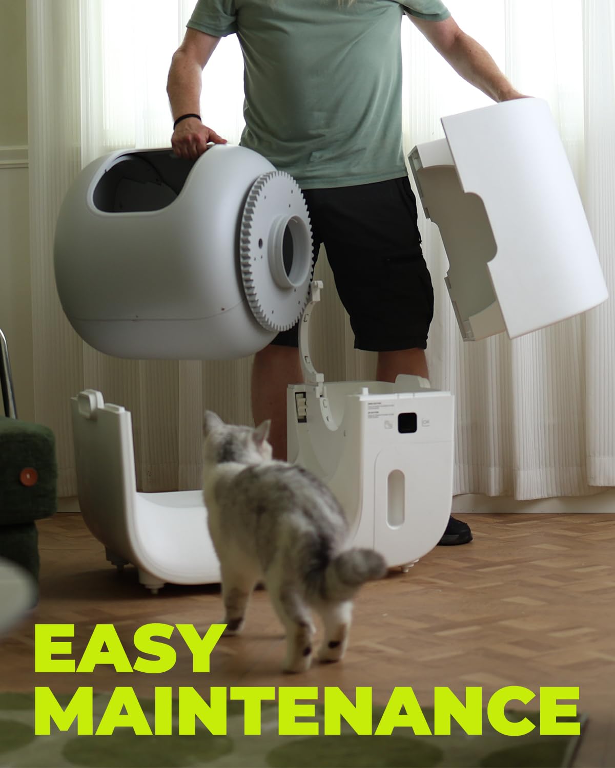 Furbulous cat weight tracking visuals for behavior insights