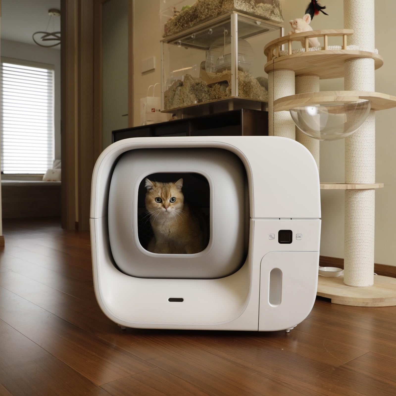 Furbulous deodorant bar after-use storage illustrates compact odor-management solution