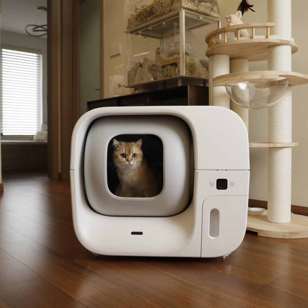 Furbulous deodorant bar after-use storage illustrates compact odor-management solution