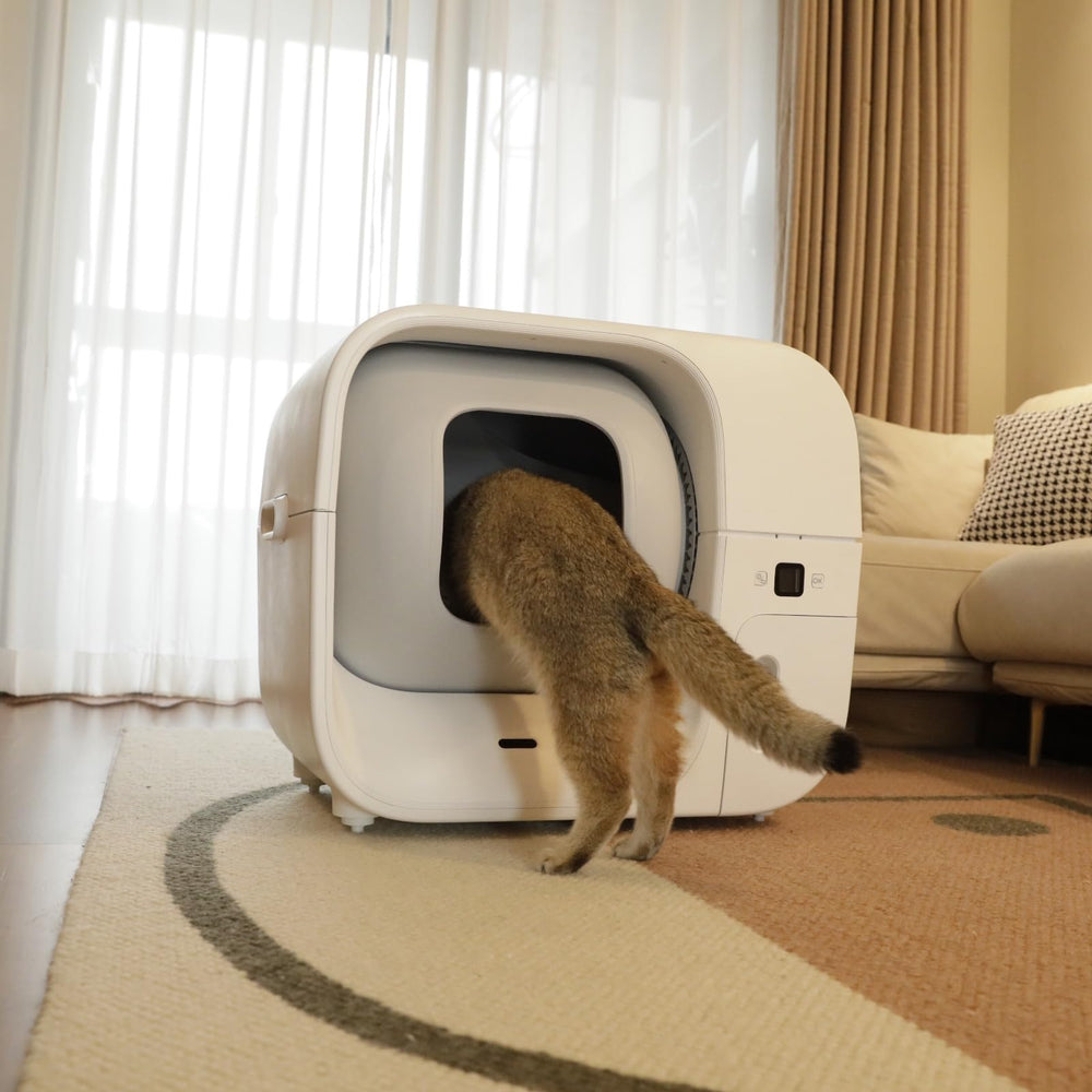 Furbulous deodorant bar multi-pack display underscores value for frequent litter area refreshes