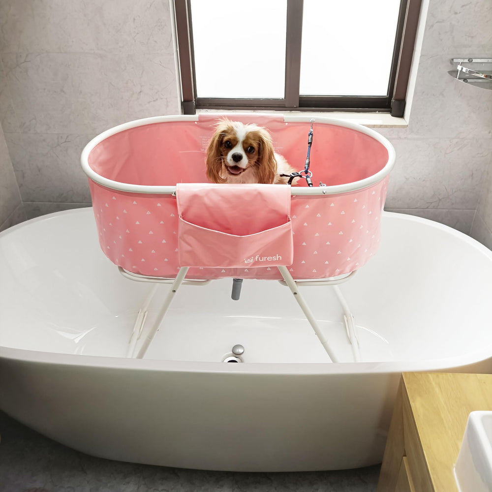 Furesh Little Dipper dimensions enable spacious bath for small to medium pets.