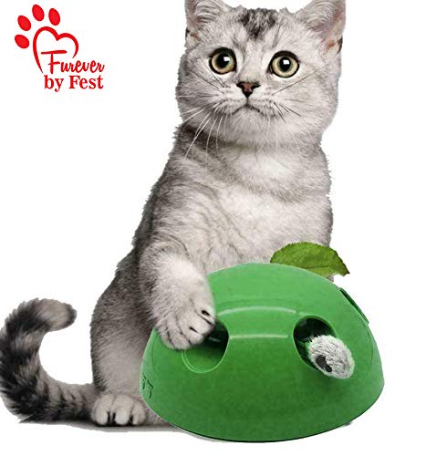 Furever by Fest chirping-function demonstrates interactive prey-like audio for play.