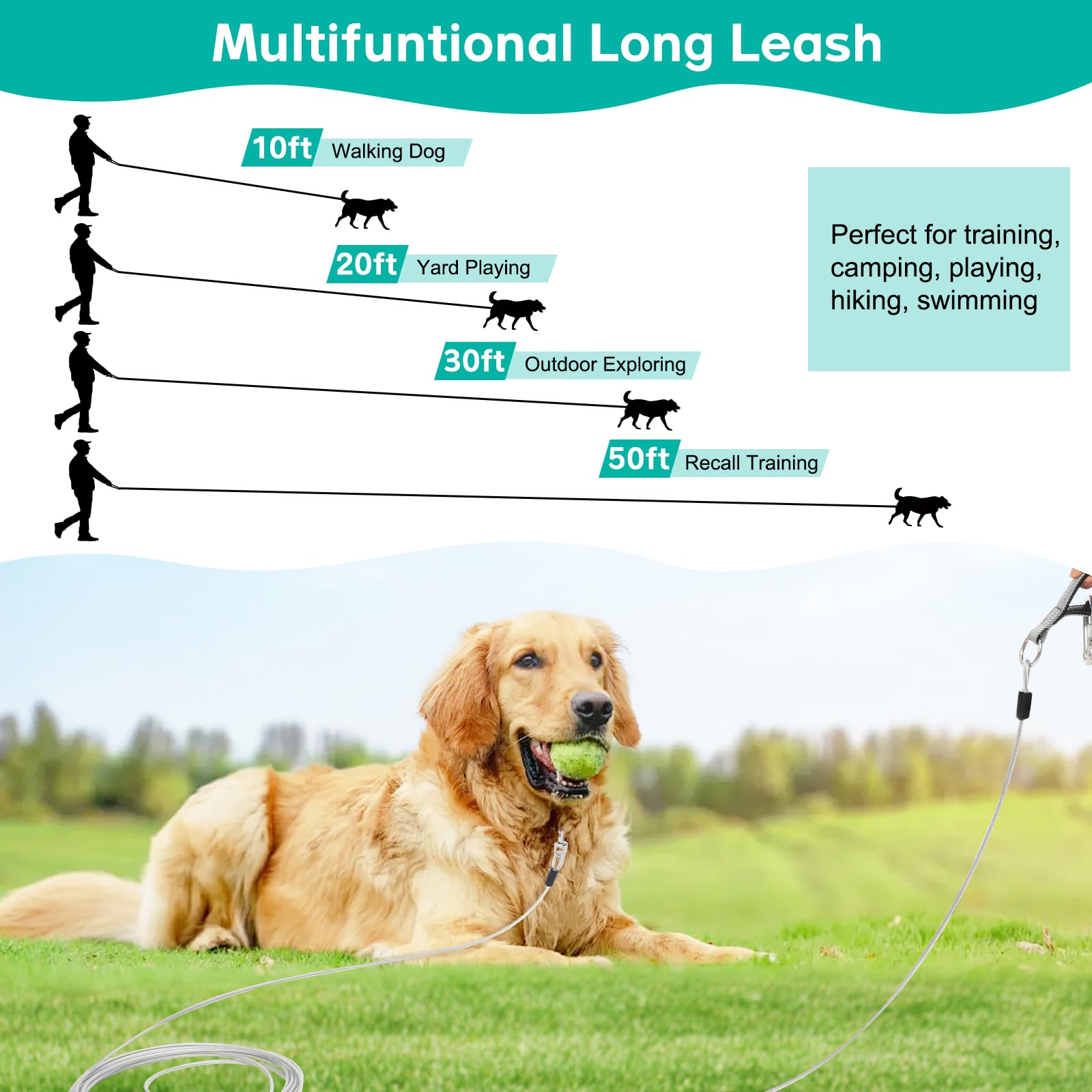 Furggis 10ft walking-leash ideal for daily on-leash walks.