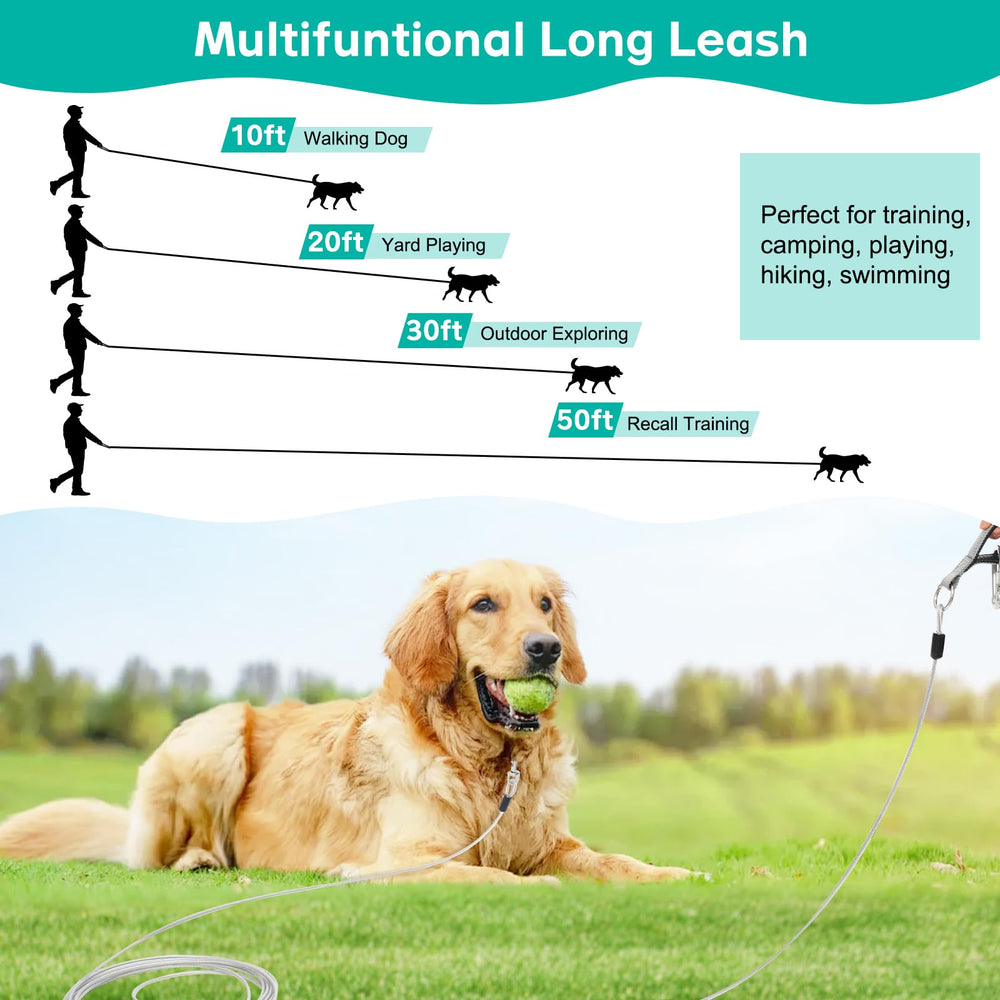 Furggis 10ft walking-leash ideal for daily on-leash walks.