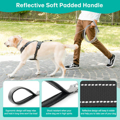 Furggis anti-chew protection highlights durability for heavy-chewing dogs.