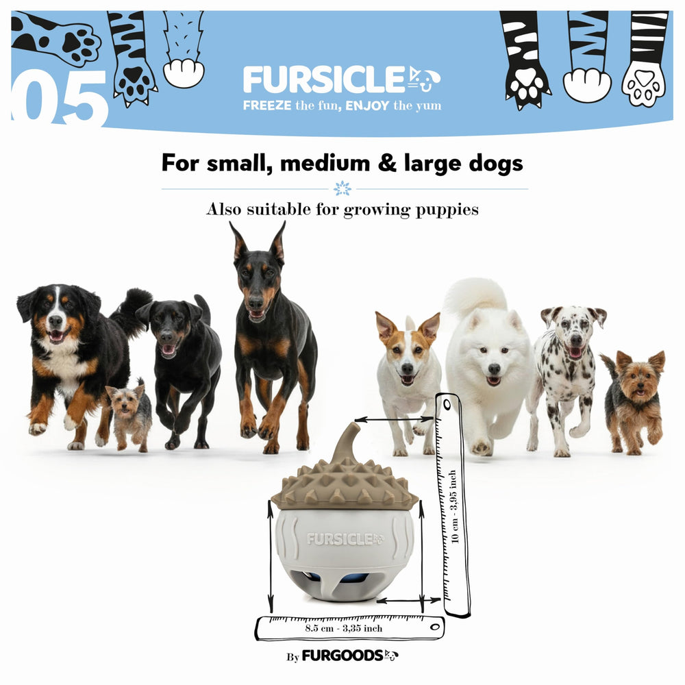 Dog enjoying FurSicle outdoors during playtime.