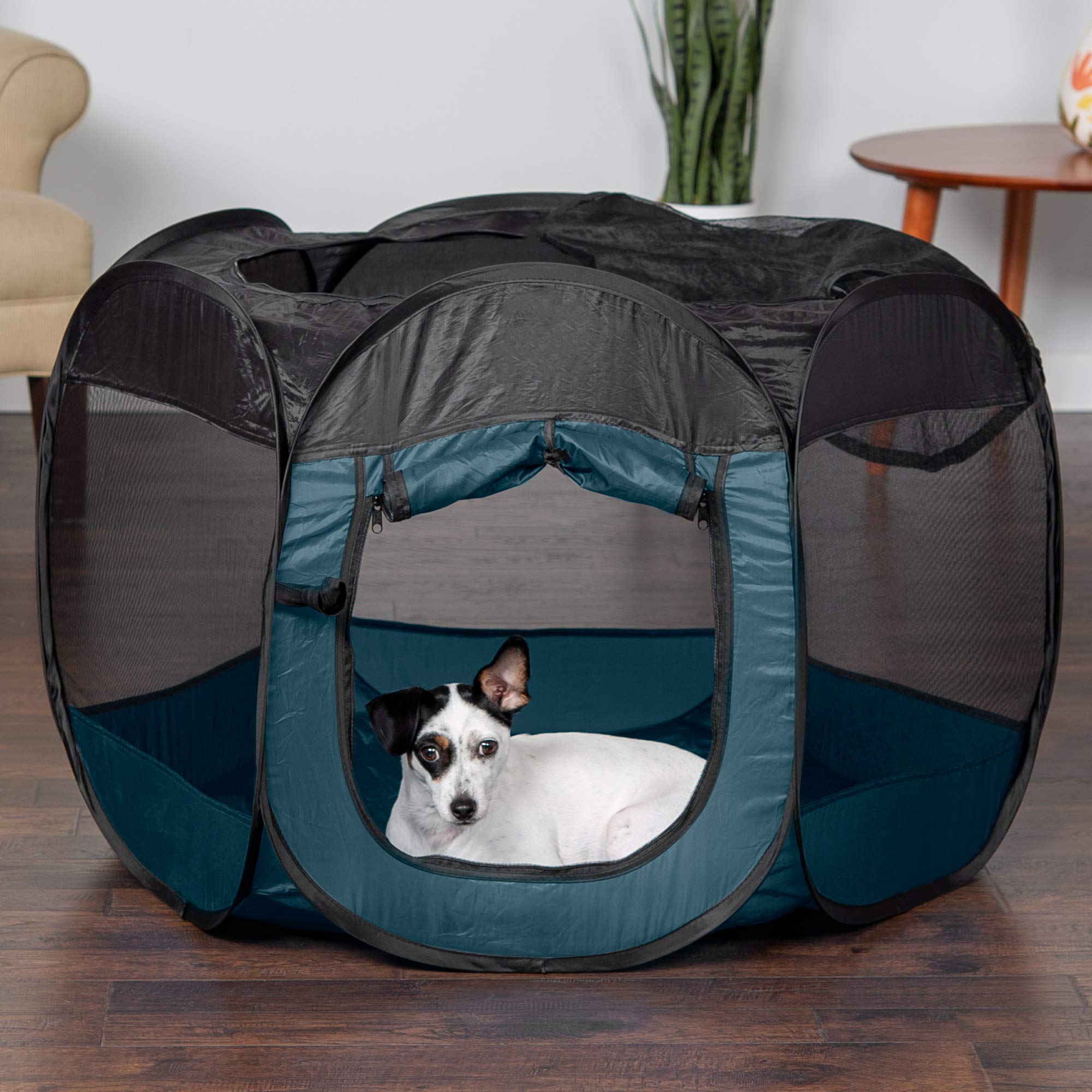 Furhaven pop-up playpen Sailor Blue zippered-top shows secure shade and ventilation.
