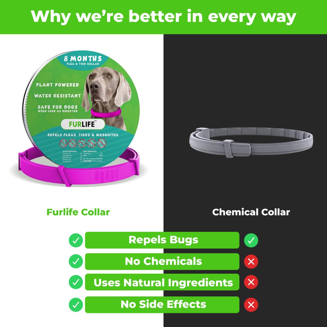 FurLife adjustable dog collar small to large fit across breeds during daily walks.