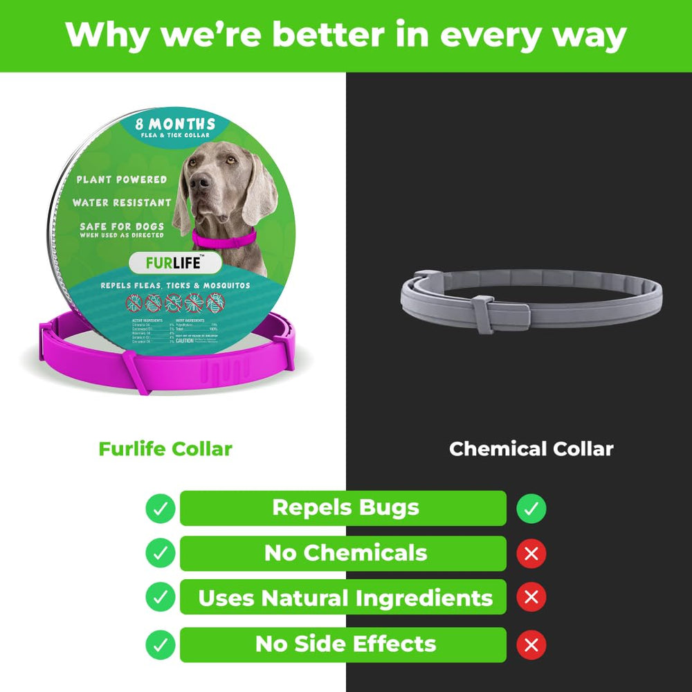 FurLife adjustable dog collar small to large fit across breeds during daily walks.