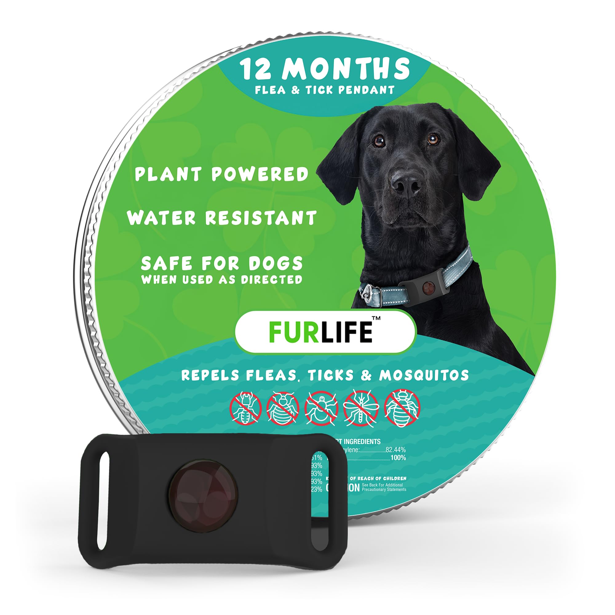 FurLife black dog tag on collar close-up—lightweight, secure daily wear for everyday use.