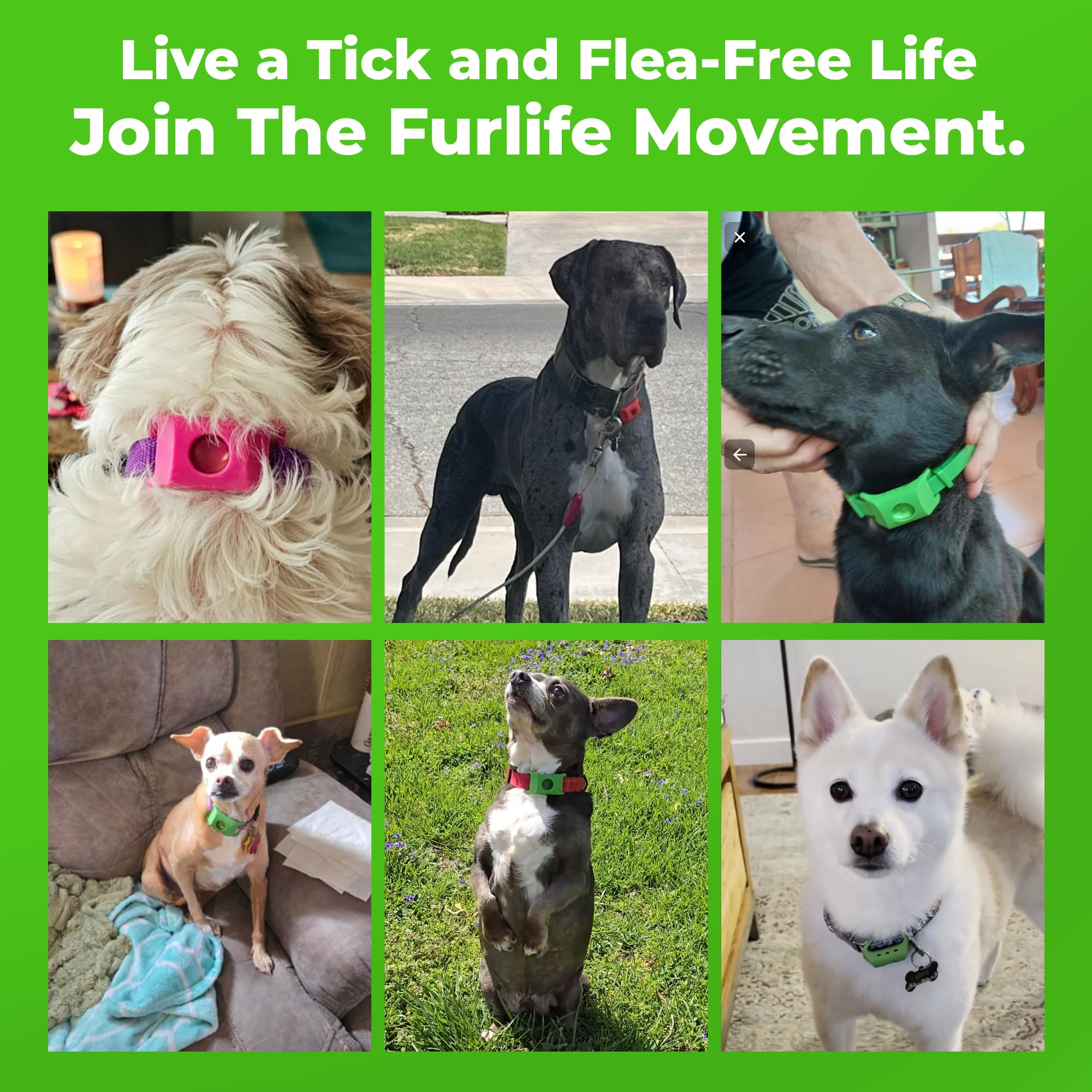 FurLife dog tag easy-clip-attachment—fast, mess-free collar updates for travel.