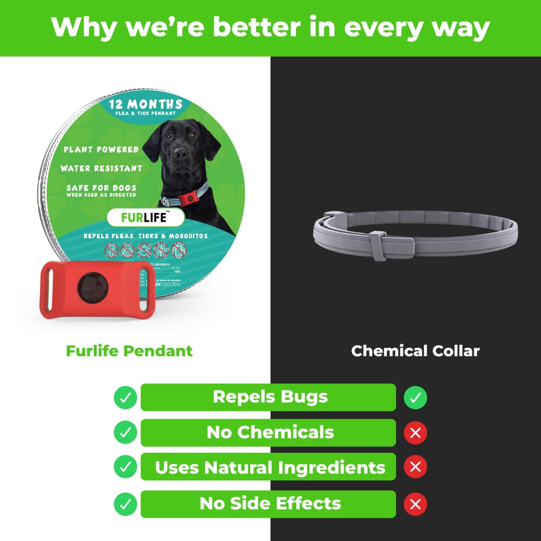 FurLife tag on a small breed collar highlights lightweight comfort for daily wear