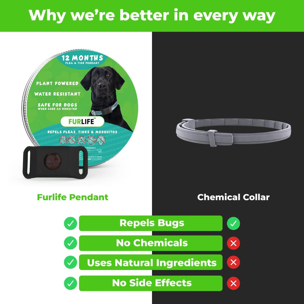 FurLife dog tag natural-no-chemicals—gentle, fragrance-free protection during active days.