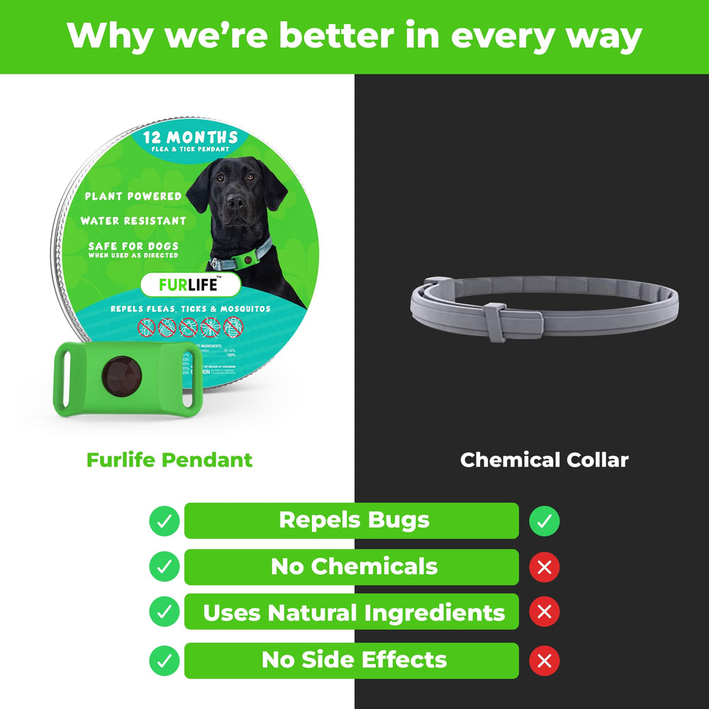 FurLife Green Dog Tag suitable for all breed collars