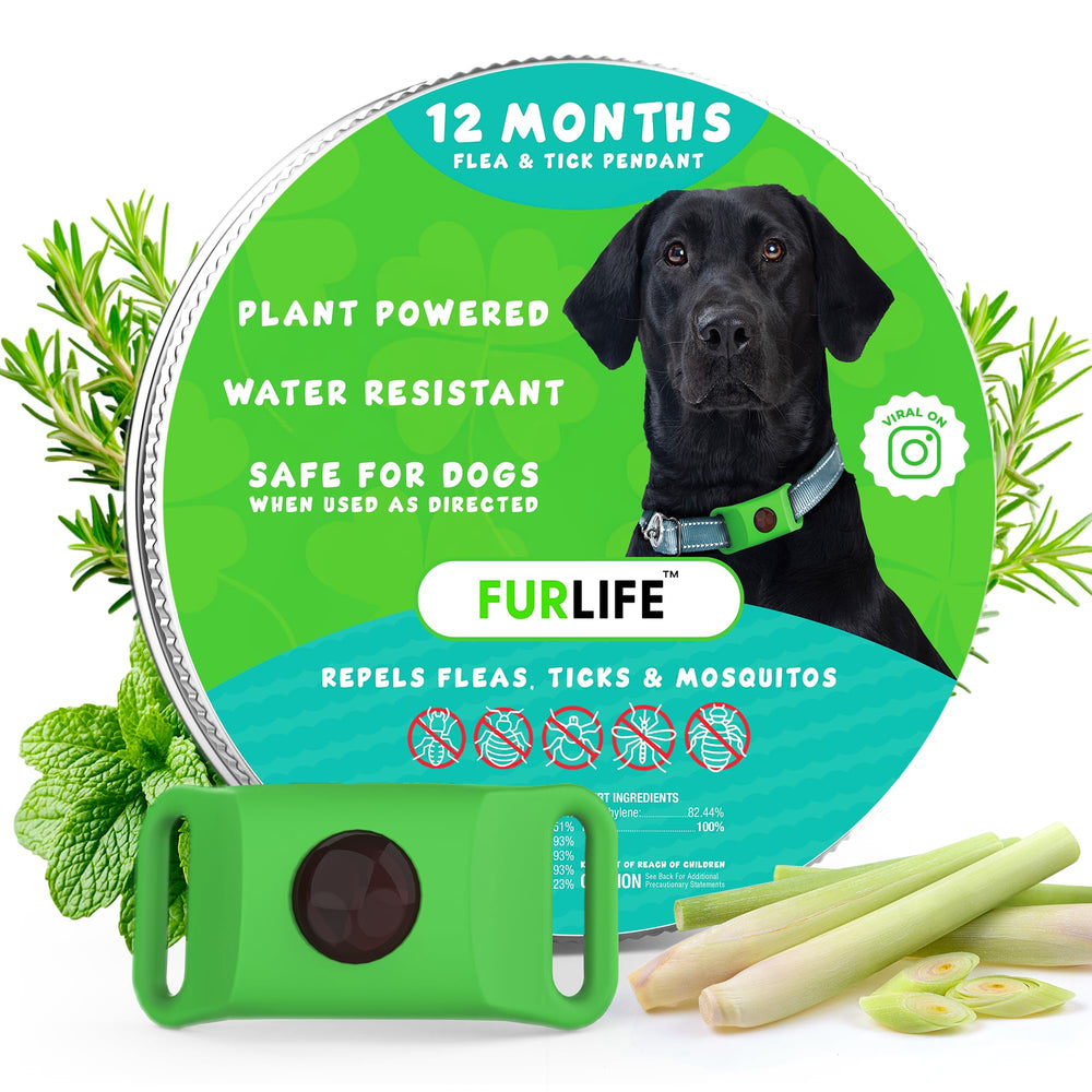 FurLife Green Dog Tag close-up on collar for lightweight daily wear