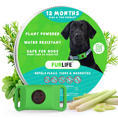 FurLife Green Dog Tag close-up on collar for lightweight daily wear