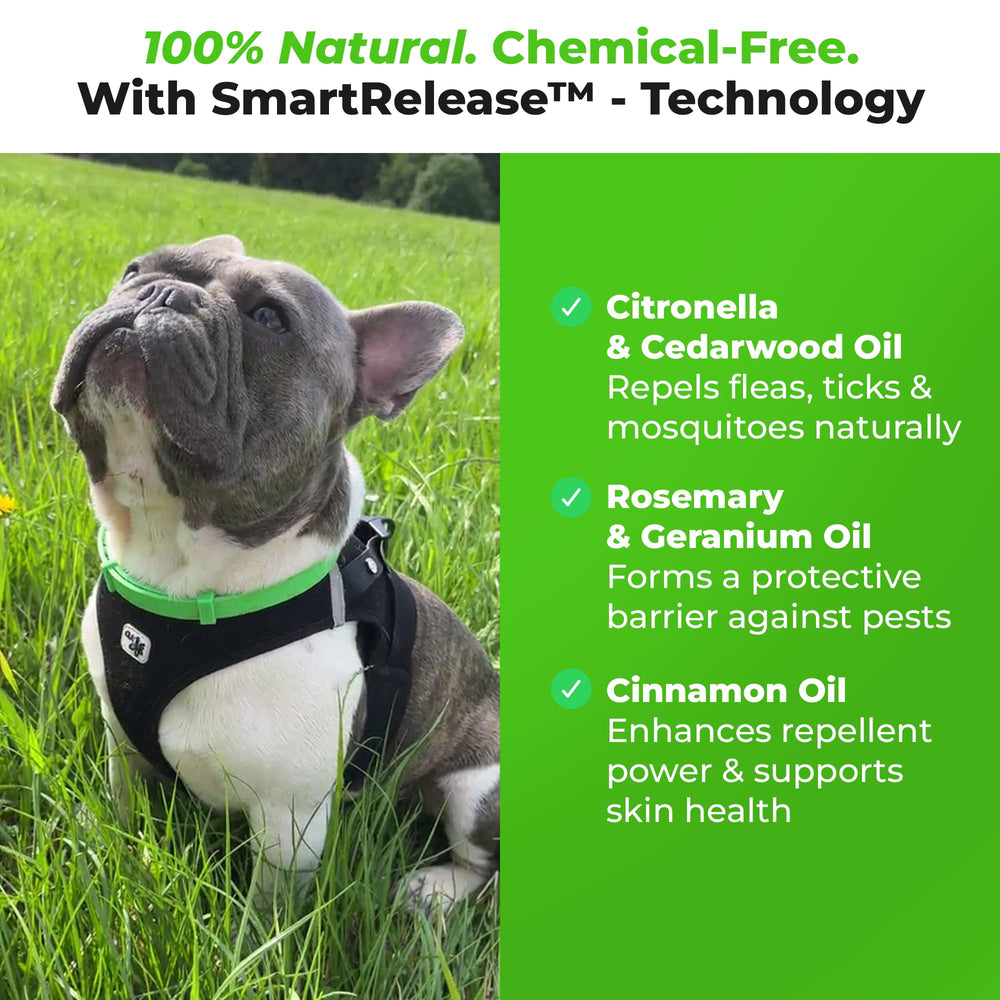 FurLife SmartRelease technology closeup demonstrates even oil distribution for continuous protection.