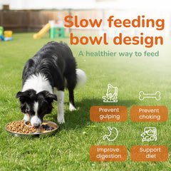 Furlithix slow-feeder design close-up with raised textures for engaging meals.