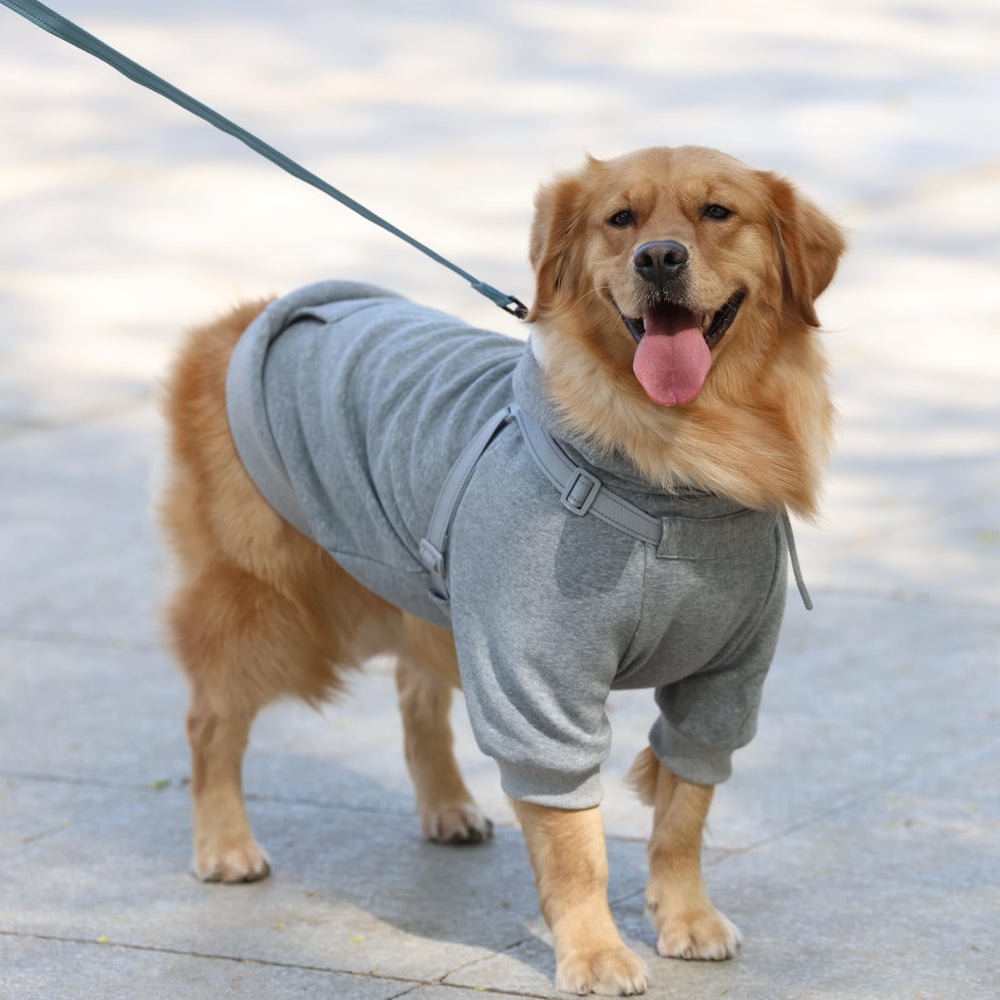 Furmate hoodie fits small to large dogs with tested sizing