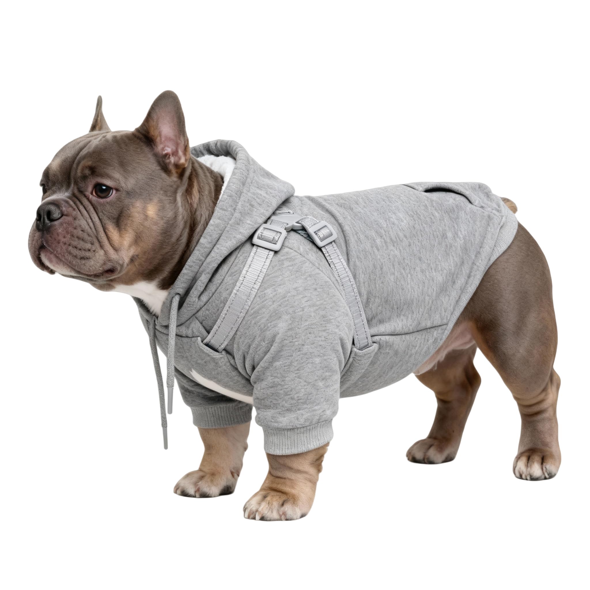 Furmate dog hoodie with built-in harness and buckle for safer walks