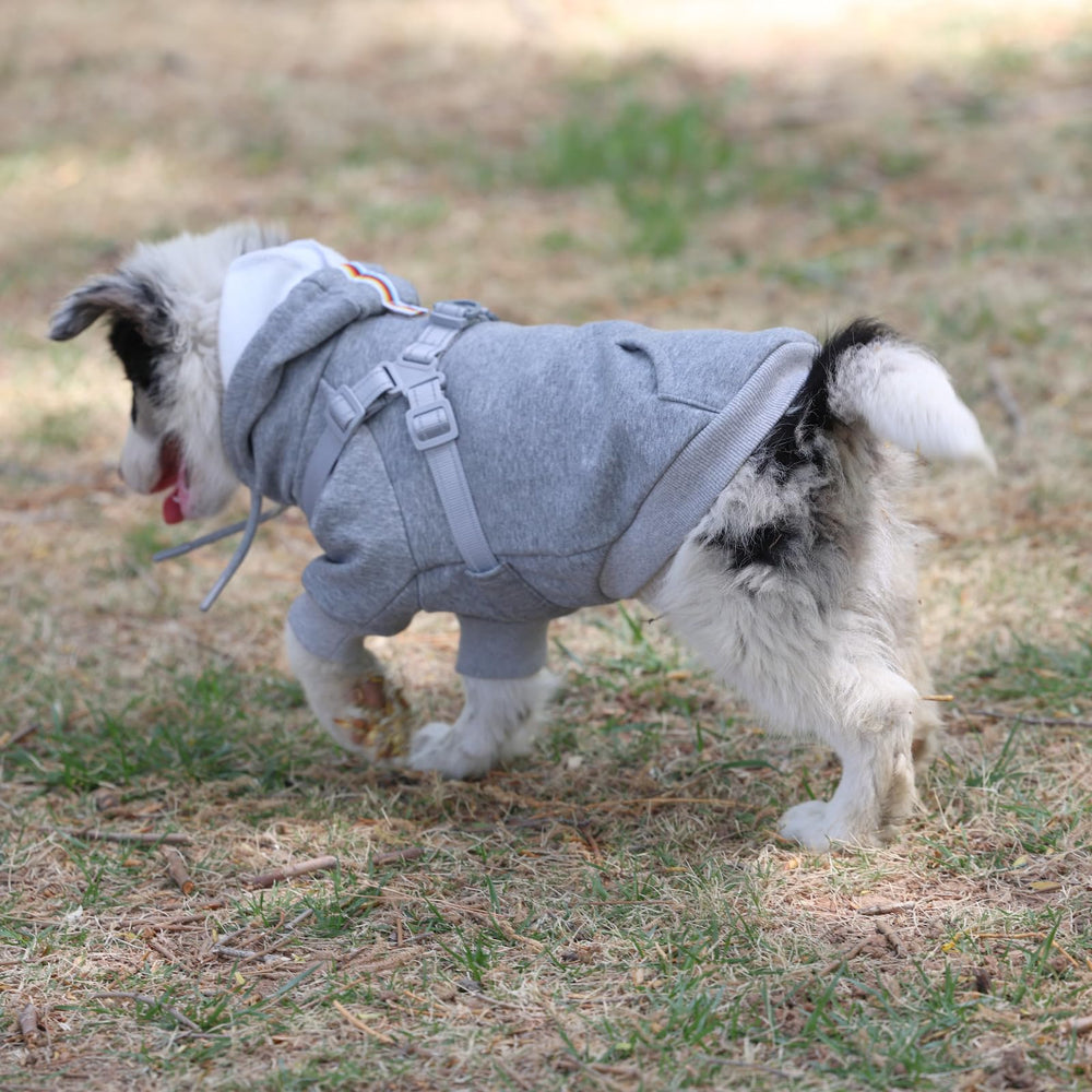 Furmate calming plush fleece interior provides gentle warmth