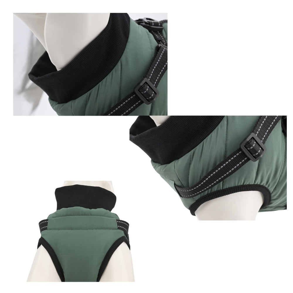 Furmate dog winter coat with leash attachment point demonstrates hassle-free walks.