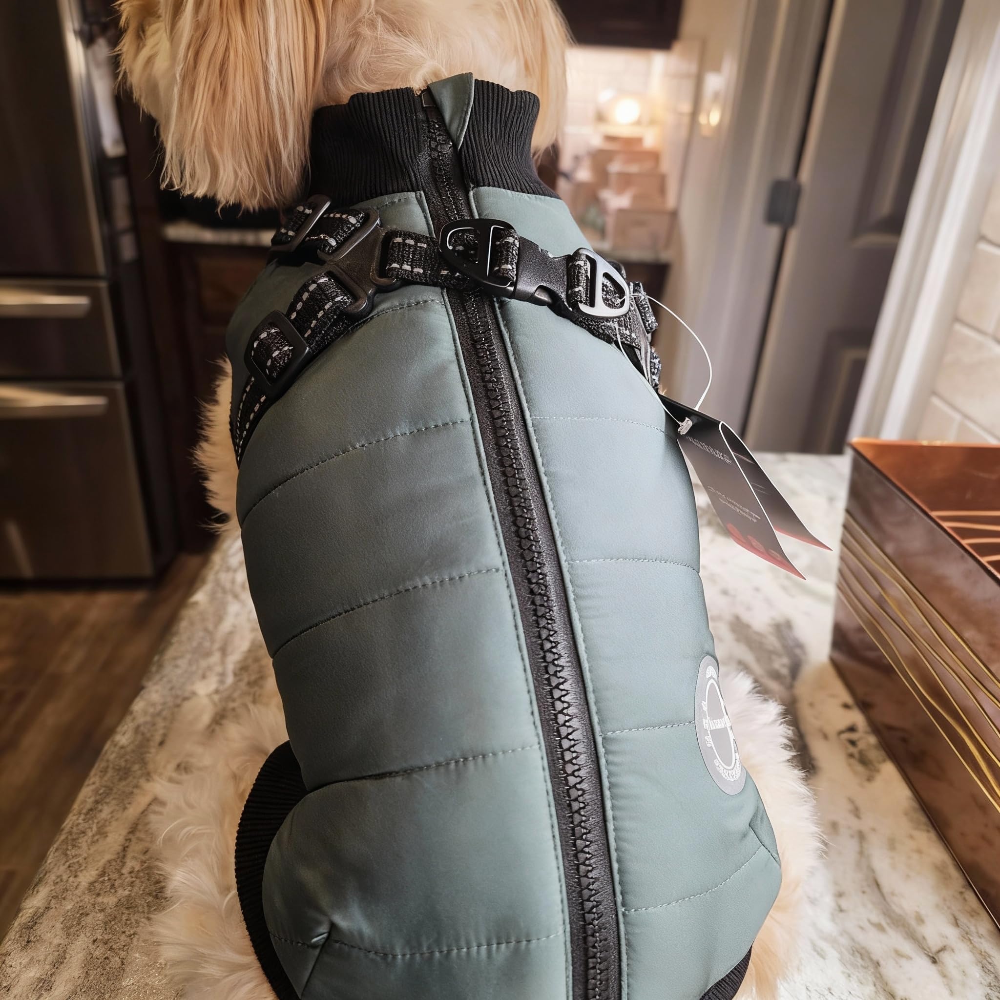 Furmate dog winter coat in wind-swept scene emphasizes warmth and breathability.
