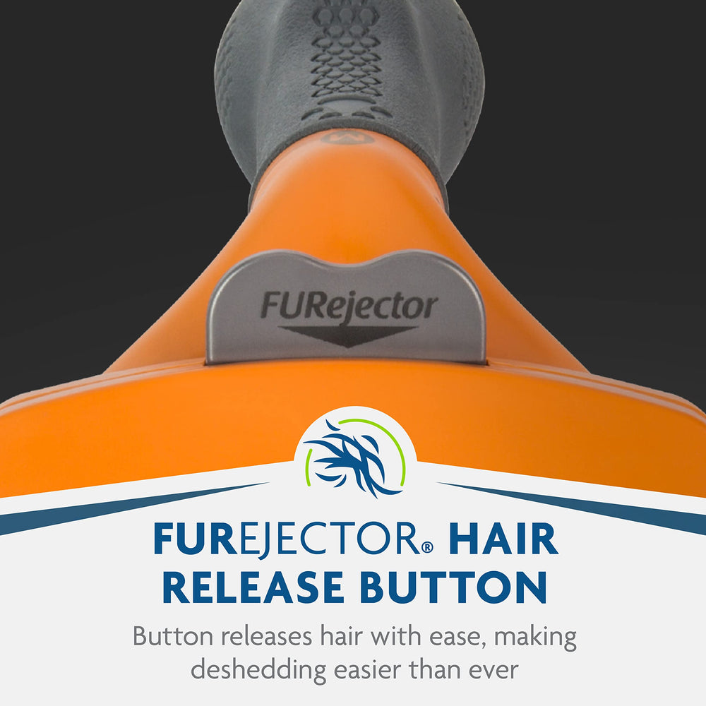 FURminator at-home grooming setup highlighting easy maintenance and results.