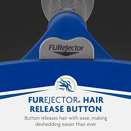 FURminator hair collection with dense undercoat during home grooming